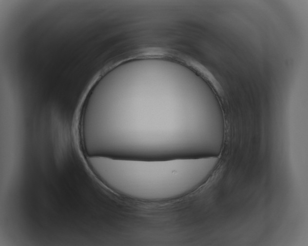 X0000101181475200806270816