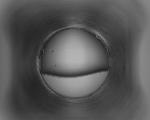 X0000101181476200806270816