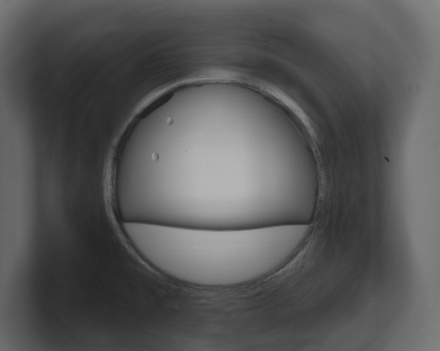 X0000101181477200806270816