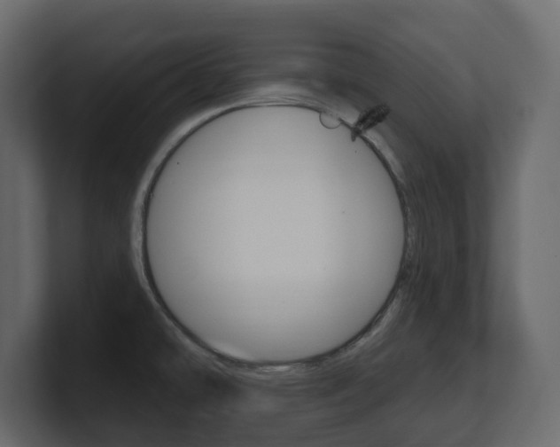 X0000101181478200806270816