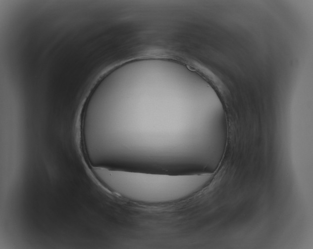 X0000101181479200806270816