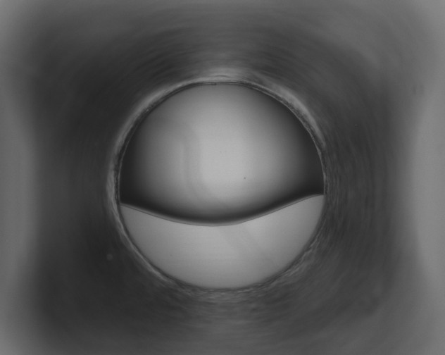 X0000101181480200806270816