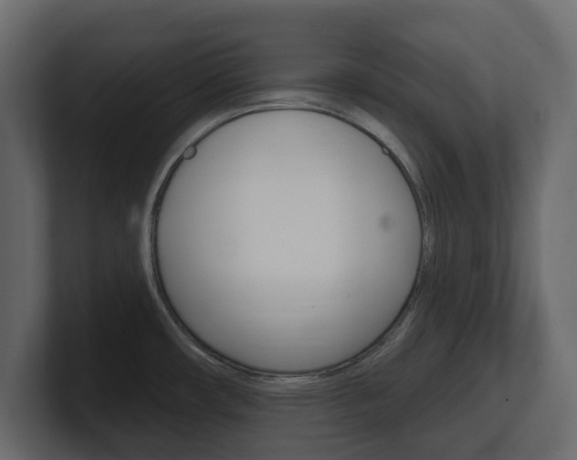 X0000101181482200806270816