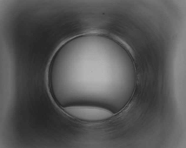 X0000101181483200806270816