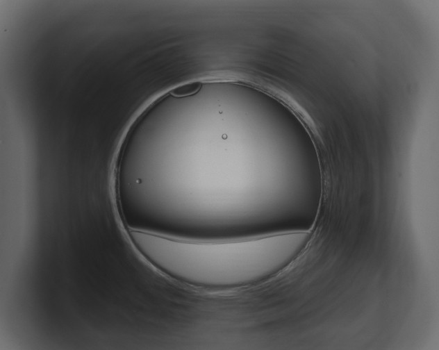 X0000101181484200806270816