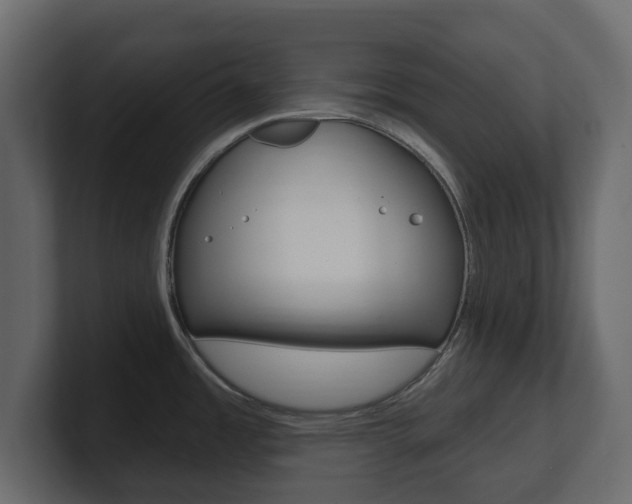X0000101181485200806270816