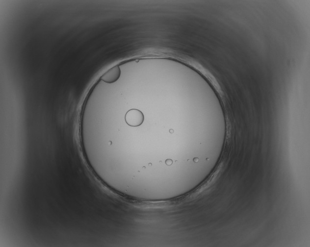 X0000101181486200806270816