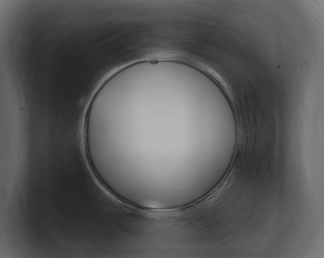 X0000101181487200806270816
