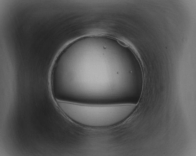 X0000101181488200806270816