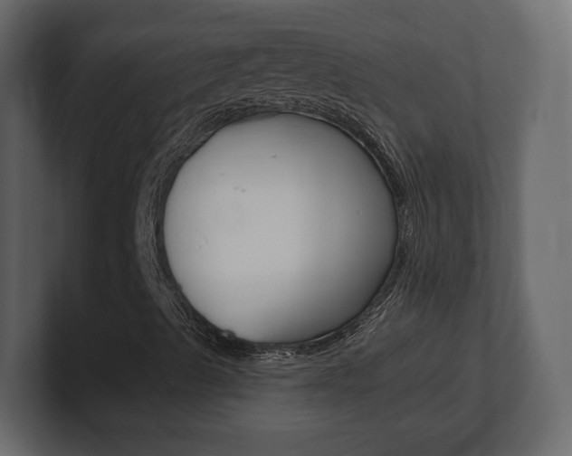 X0000101181489200806270816