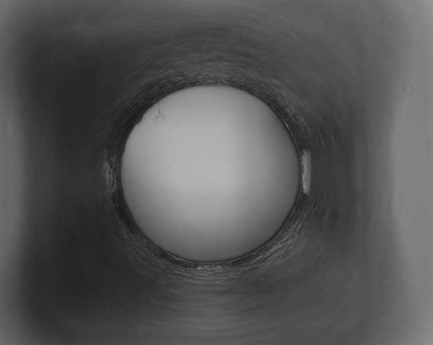 X0000101181491200806270816