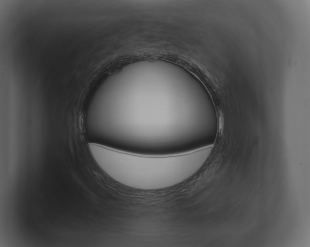 X0000101181492200806270816