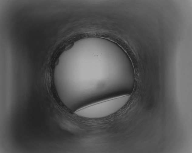 X0000101181493200806270816