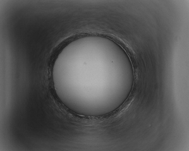 X0000101181494200806270816