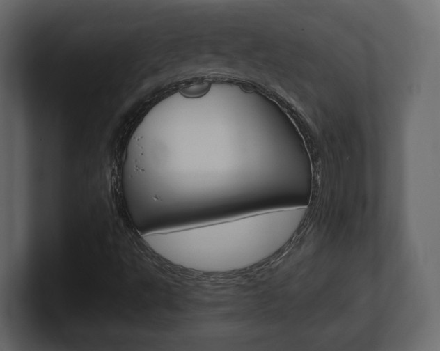 X0000101181495200806270816