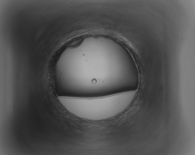 X0000101181496200806270816