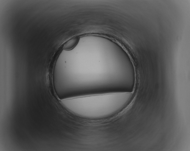X0000101181497200806270816