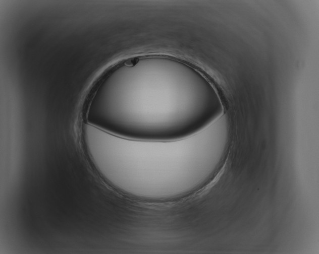 X0000101181502200806270816