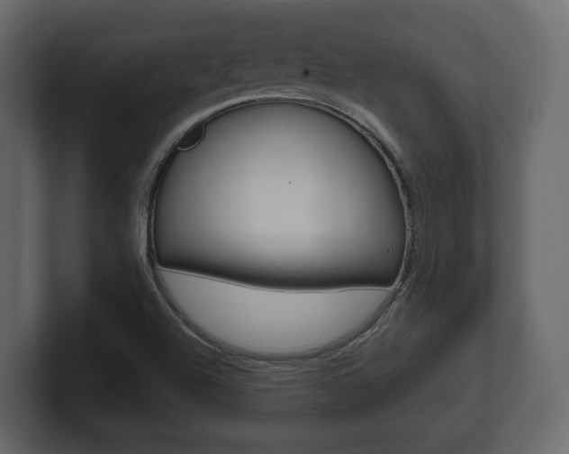 X0000101181504200806270816