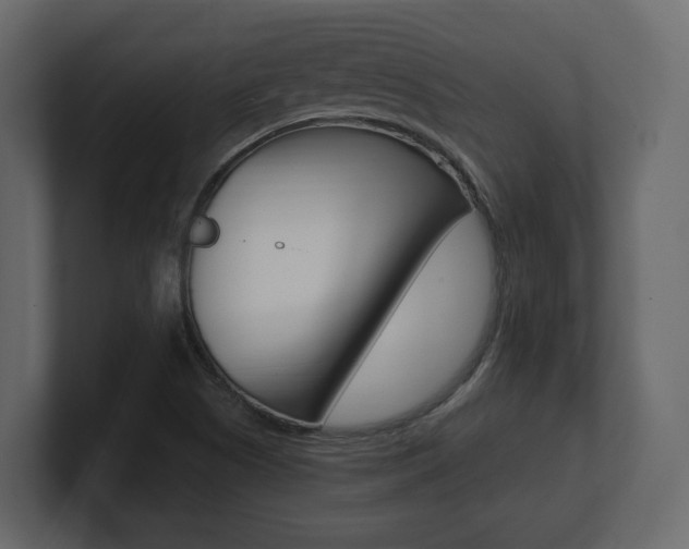 X0000101181505200806270816