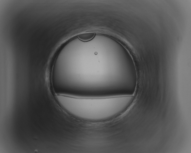 X0000101181506200806270816