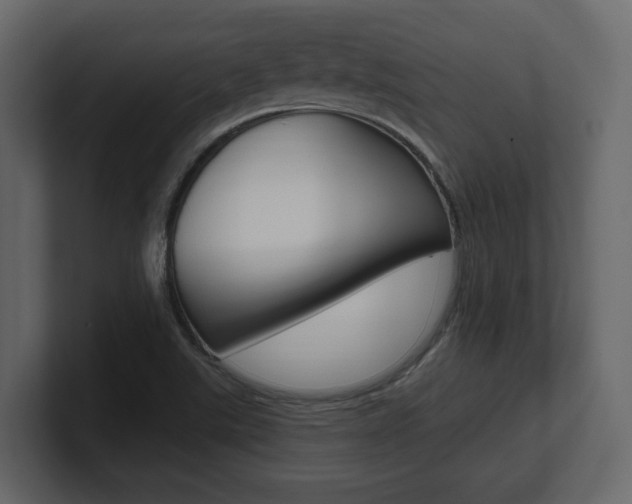 X0000101181507200806270816