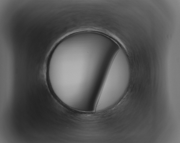 X0000101181508200806270816