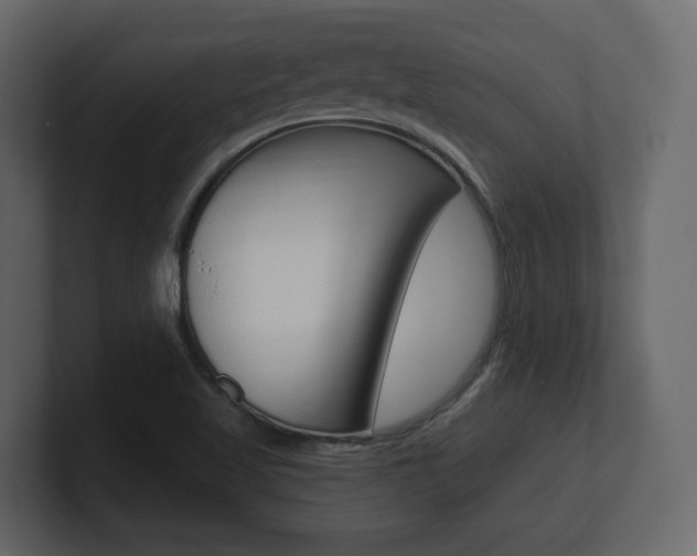 X0000101181509200806270816