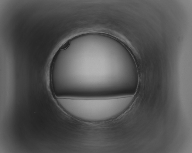X0000101181512200806270816