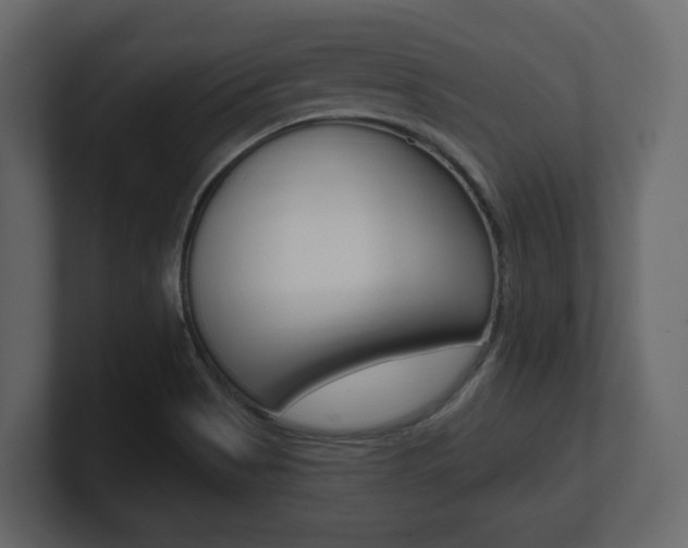 X0000101181513200806270816