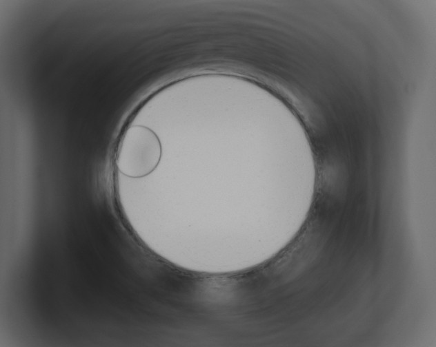 X0000101181514200806270816