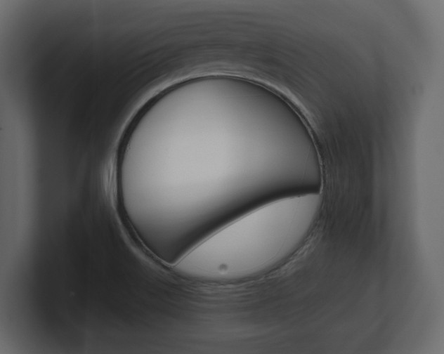 X0000101181515200806270816