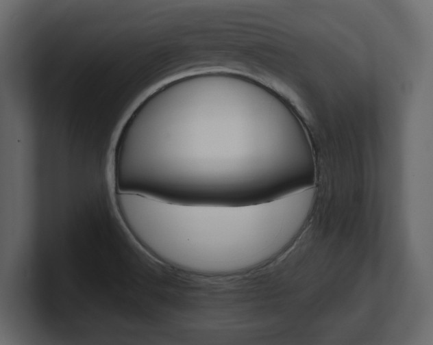 X0000101181516200806270816