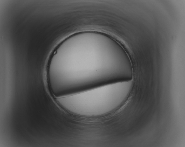 X0000101181517200806270816