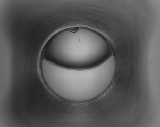X0000101181518200806270816