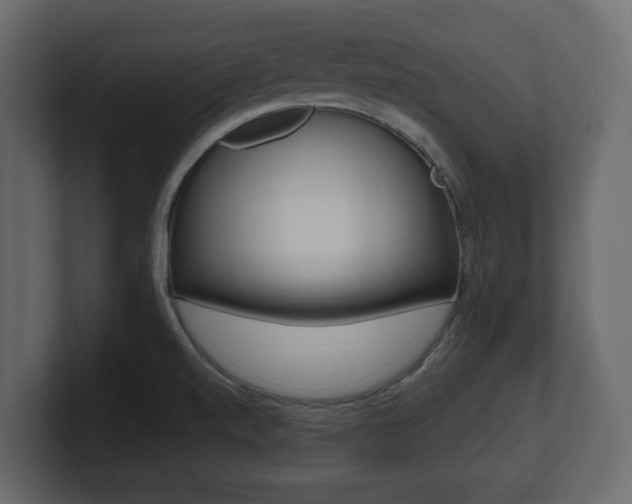X0000101181520200806270816