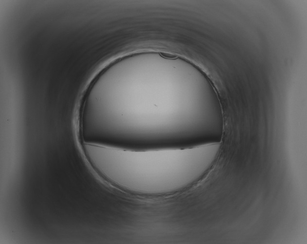 X0000101181523200806270816