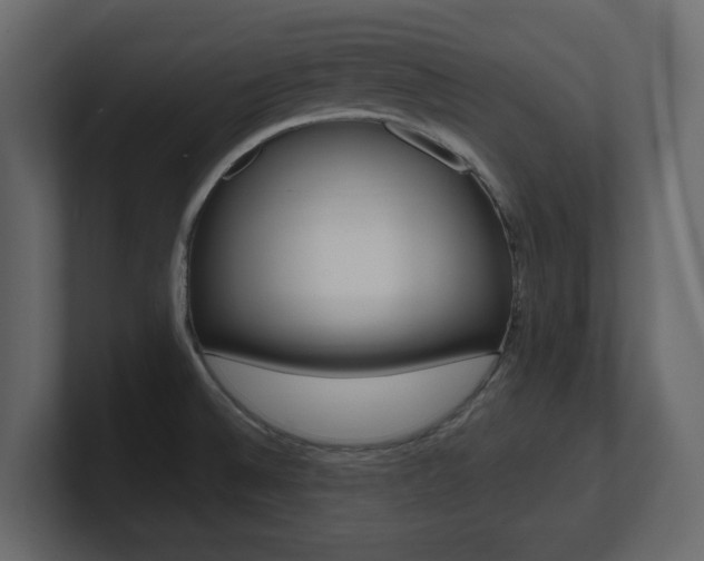 X0000101181524200806270816
