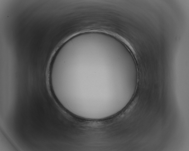 X0000101181525200806270816