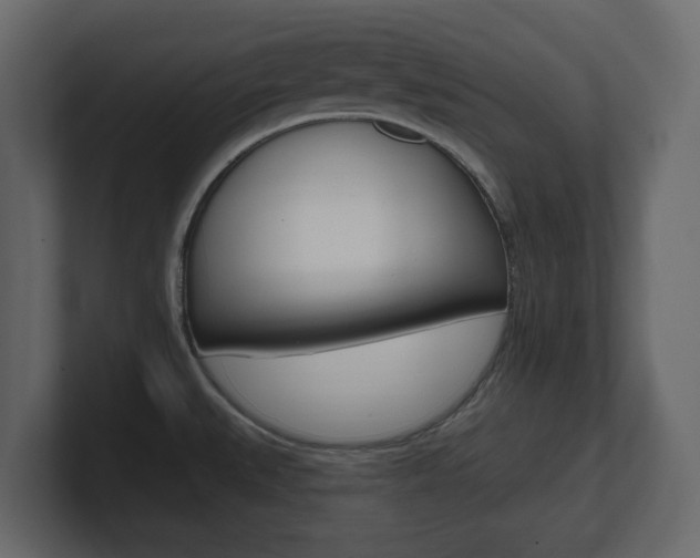 X0000101181527200806270816