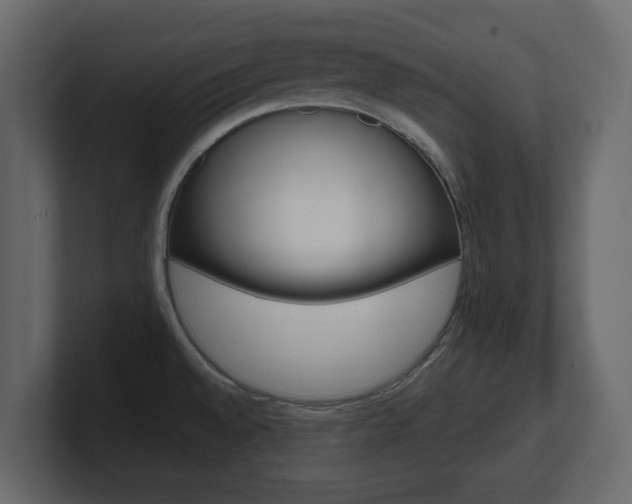 X0000101181528200806270816