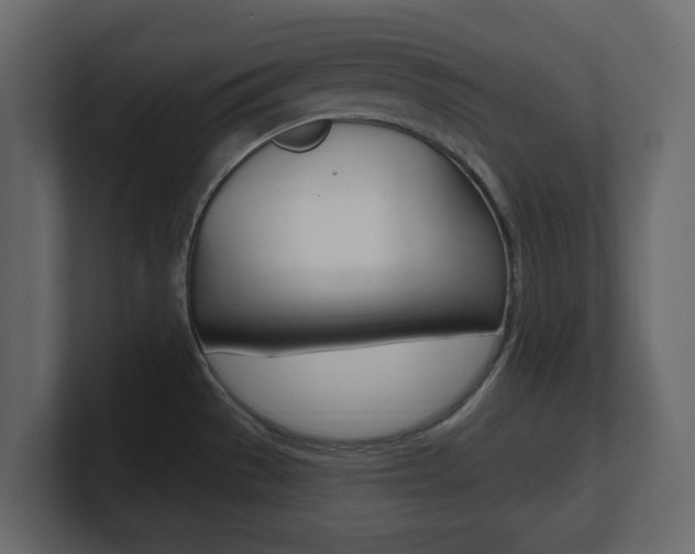 X0000101181529200806270816
