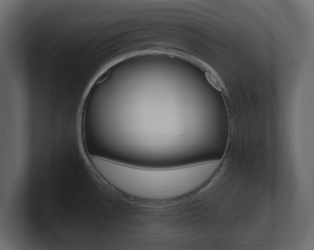 X0000101181530200806270816