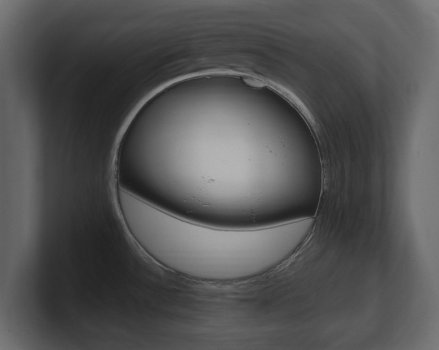 X0000101181532200806270816