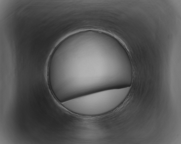 X0000101181535200806270816