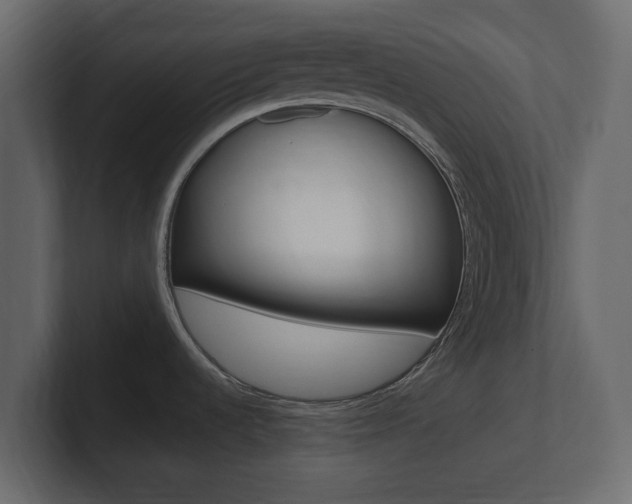 X0000101181536200806270816