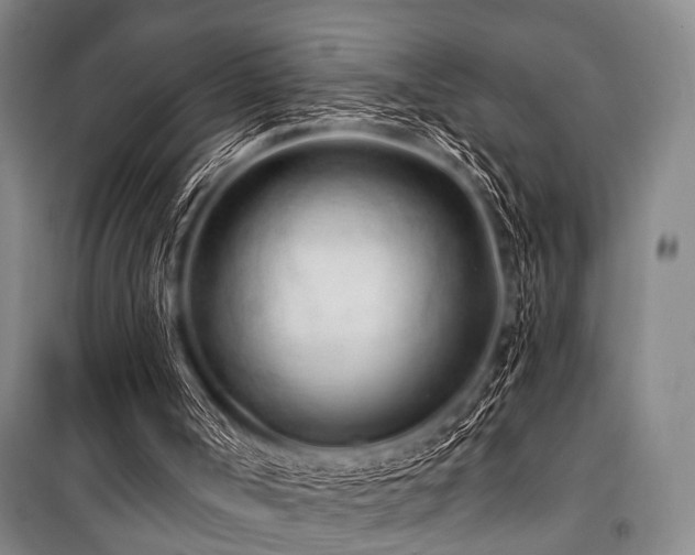 X0000101180002200806271302
