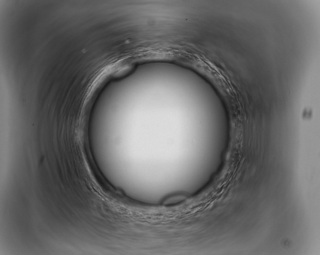 X0000101180003200806271302