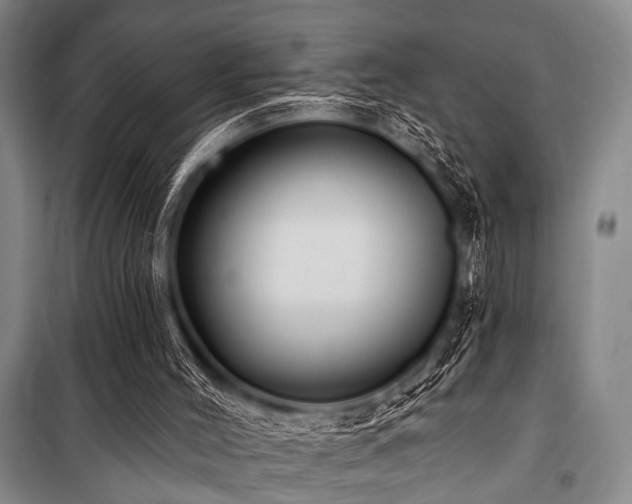 X0000101180004200806271302