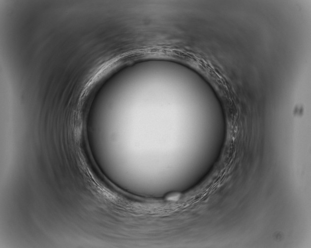 X0000101180005200806271302